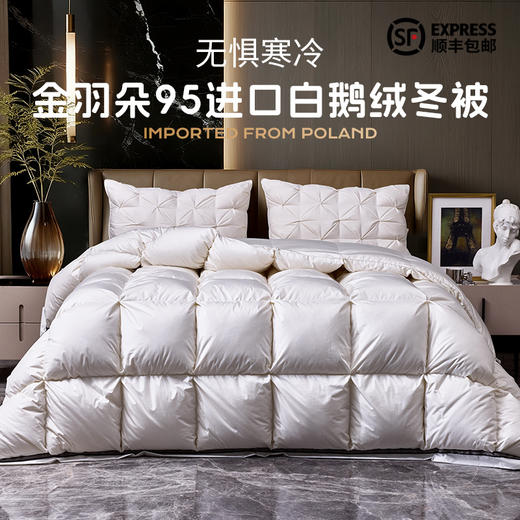 多喜爱 金羽朵95进口白鹅绒加厚冬被-维斯谧境【波兰进口】【95%绒子含量】【100S长绒棉】1000+洁净度 拈花扩容工艺 3D航空舱 10CM检测口 高档皮箱 商品图0