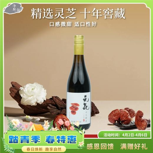 【静思书轩】十年窖藏净斯灵芝酵素口感温润新年赠礼臻选高端健康素食佳品配手提袋纳福贺岁滋养身心 商品图0