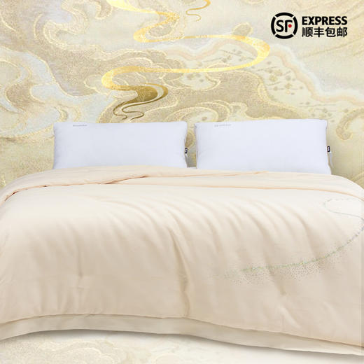 多喜爱 丝蕴华彩黄金纯蚕丝四季被/子母被cs 商品图0
