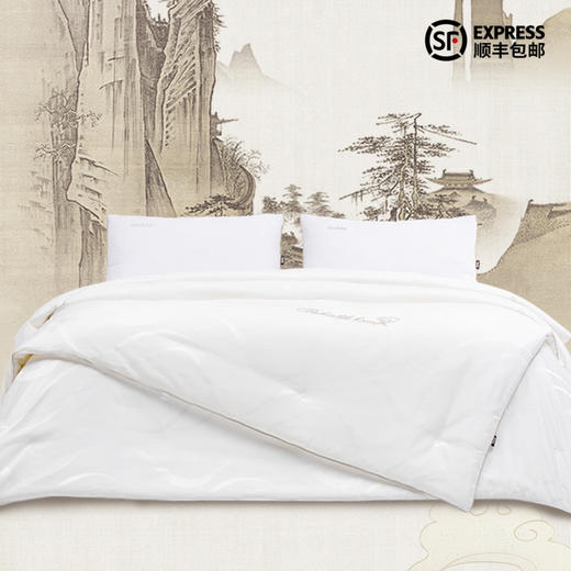 多喜爱 传奇丝毓纯蚕丝子母被（流光）cs 商品图0