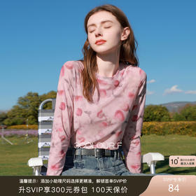 三彩2026春季新款网纱印花T恤圆领正肩长袖上衣内搭修身甜酷F