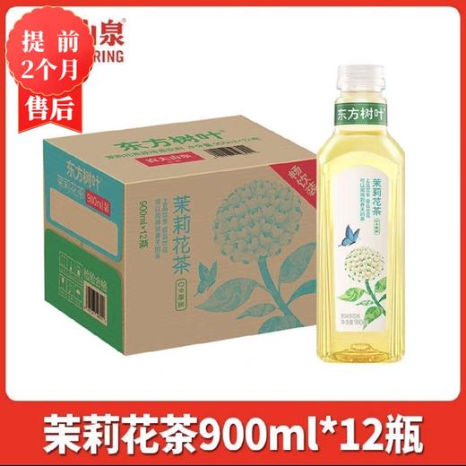【2月】大瓶东方树叶(茉莉花)900x12 商品图0