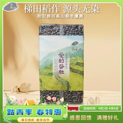 【静思书轩】爱的谷粒有机紫糯米胚芽米云南自然种植软糯适口500g 商品图0