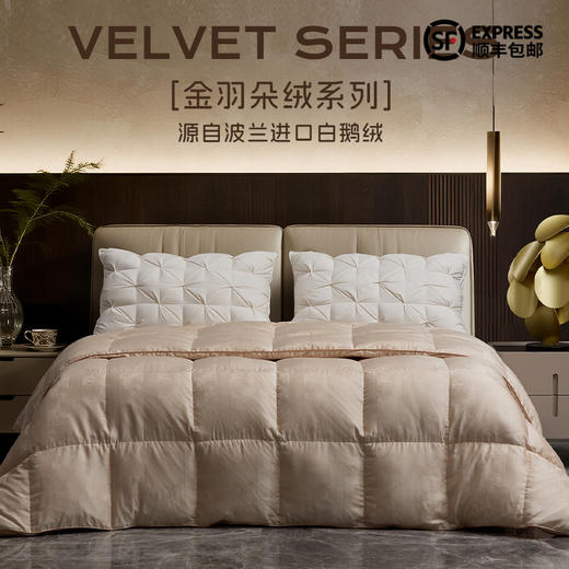 多喜爱 金羽朵95进口白鹅绒冬被/白鹅绒桑蚕丝子母被 -鎏光暖域/栖金枕月hl【95%绒子含量】【1000+清洁度】【波兰进口】【60S兰精天丝】【贡缎面料】银丝提花工艺 3D航空舱  10CM开口 商品图0