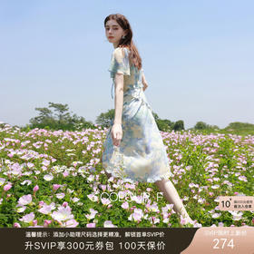 三彩独醒2026夏季新款荷叶边印花雪纺裙连衣裙度假风长裙F