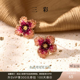 【匠心手作】三彩2026新款轻奢立体手工水晶鸢尾花耳钉S925银针