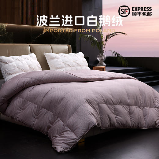 多喜爱 金羽朵95进口白鹅绒冬被 cube倍暖/double保暖hl【95%绒子含量】【80S柔赛丝面料】【波兰进口】【1000+绒子洁净度】品字双层结构 3D航空仓 10cm开口 皮箱包装 商品图0