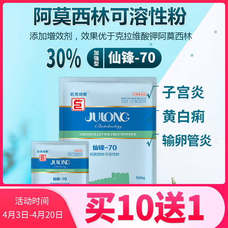 【仙锋70】巨龙动保仙锋-70阿莫西林可溶性粉加强型100g/500g