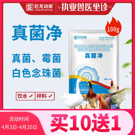 【真菌净】鸡鸭鹅鸽禽用去霉菌真菌白色念珠菌输卵管炎纯植物提取无药残留100g/袋 商品图0