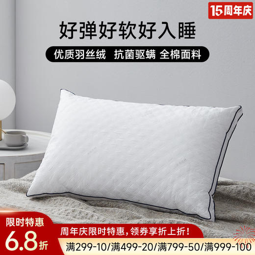 防螨抑菌安睡枕 商品图0