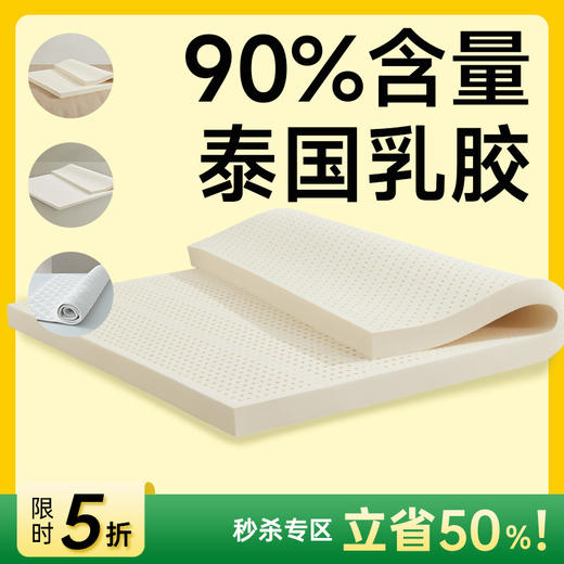 乳胶床褥垫 商品图0