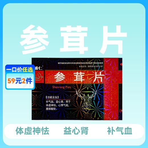 辅仁 参茸片12片*2板补气血益心肾 商品图0