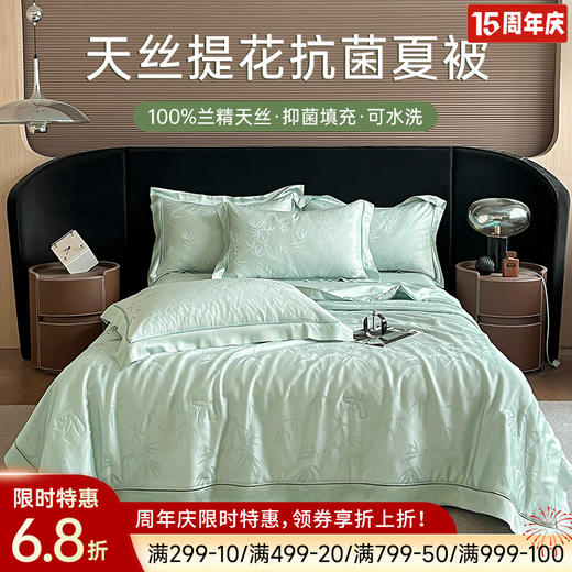 天丝提花抗菌夏被(绿色) 商品图0