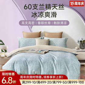 60支兰精天丝印花拆件(似水流年)