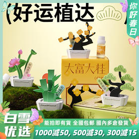 【中式香薰盆栽摆件】好运植达香薰石膏摆件挥发香薰精油教师节中秋节伴手礼礼盒礼品