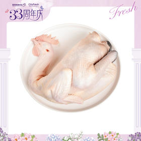 【BF】雪山草母鸡（半片）500g/盒（买一送一）（提货时间：4.15-4.21）