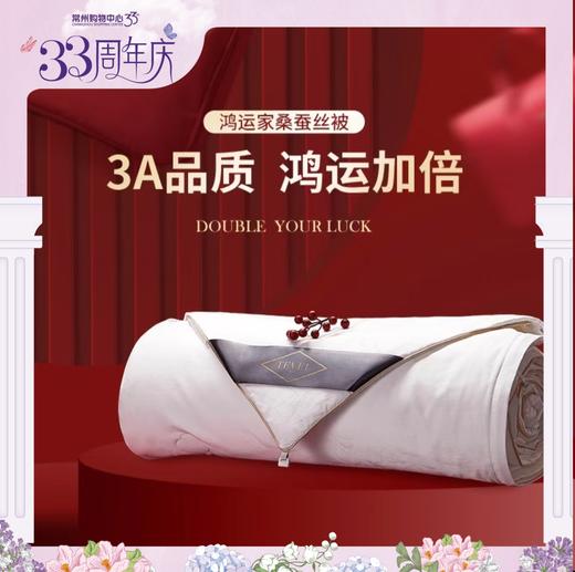 6F堂皇 独家周年庆提前购 鸿运家桑蚕丝春秋被  售完即止不补货 商品图0