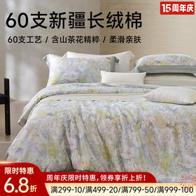 新疆长绒棉60支印花四件套(如烟)