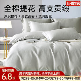 轻奢提花长绒棉加厚四件套(慢时光)