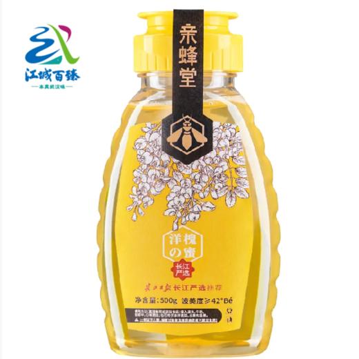 【武汉.新洲】江城百臻亲蜂堂洋槐蜂蜜500g（挤压瓶） 商品图0