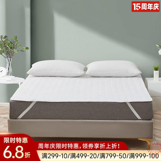 抑菌可水洗席梦思保护垫 商品图0