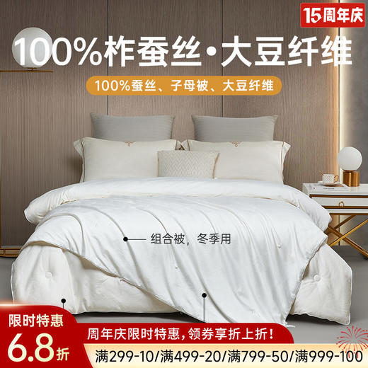 大豆蚕丝大提花子母被 商品图0