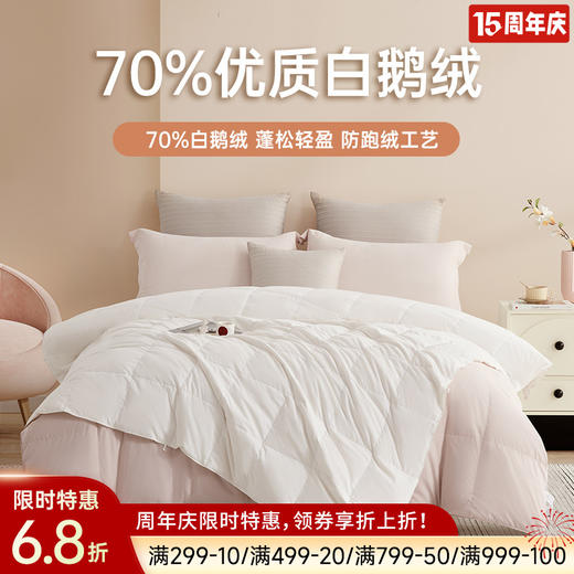 超值限量款70白鹅绒子母被 商品图0