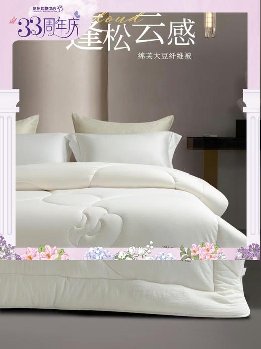 6F堂皇     绵芙大豆纤维春秋被-白色200x230cm胎重1100g 商品图0