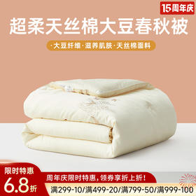 60支天丝棉50大豆纤维春秋被