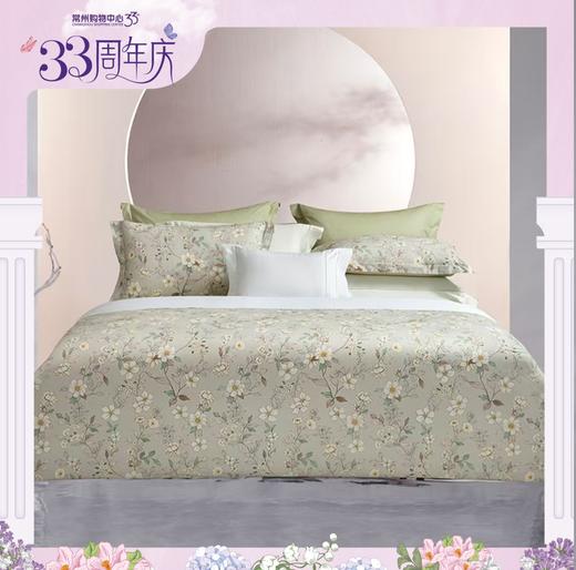 6F堂皇  温岚全棉四件套 商品图0