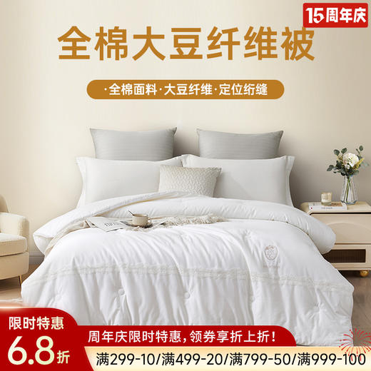 长绒棉大豆蛋白被 商品图0