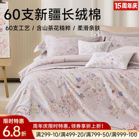 新疆长绒棉60支印花四件套(梦悠)