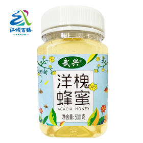 【助农】江城百臻武兴洋槐蜂蜜500g