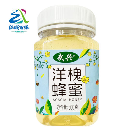 【助农】江城百臻武兴洋槐蜂蜜500g 商品图0