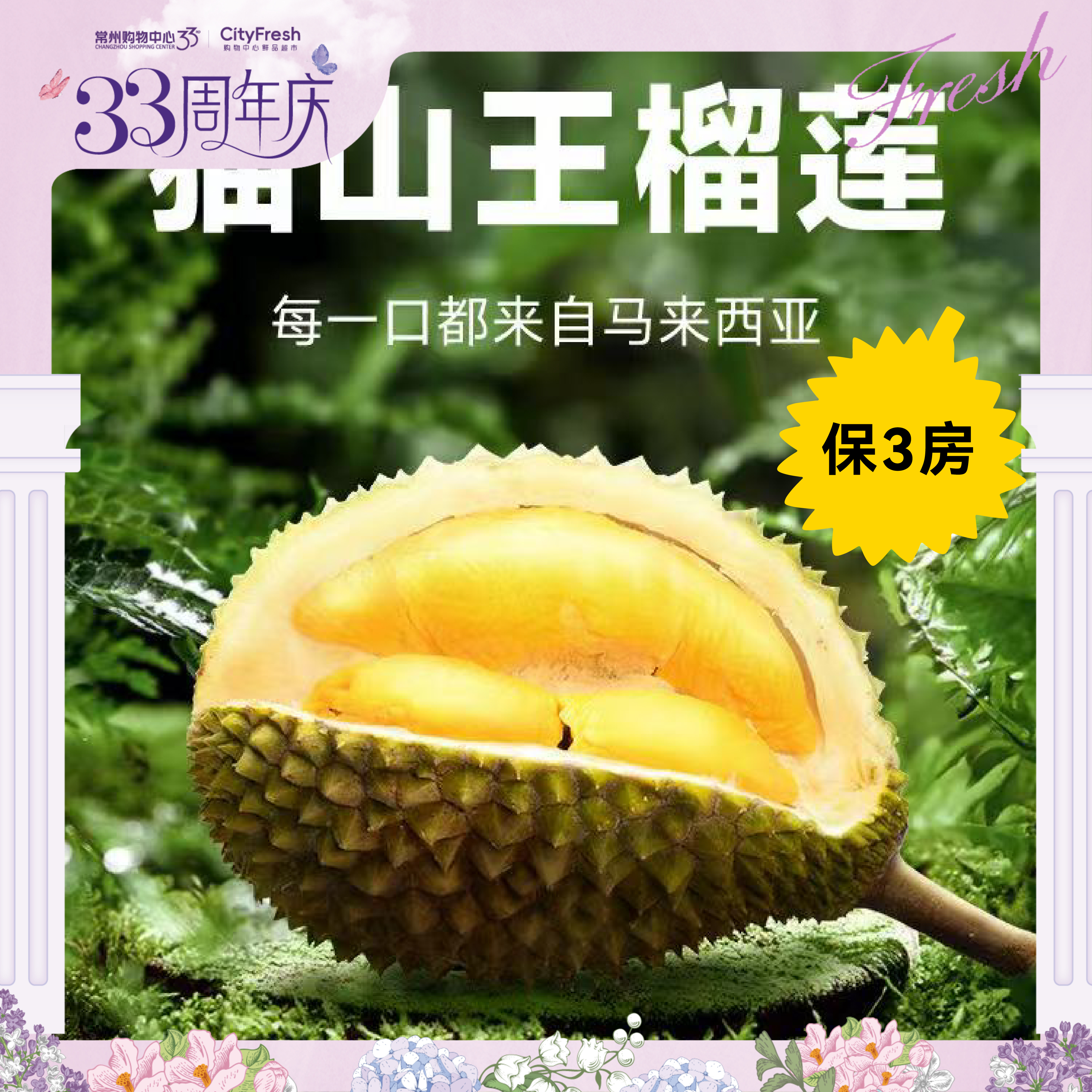 【BF】猫山王榴莲整果BC级 约2-2.5斤(保3房)