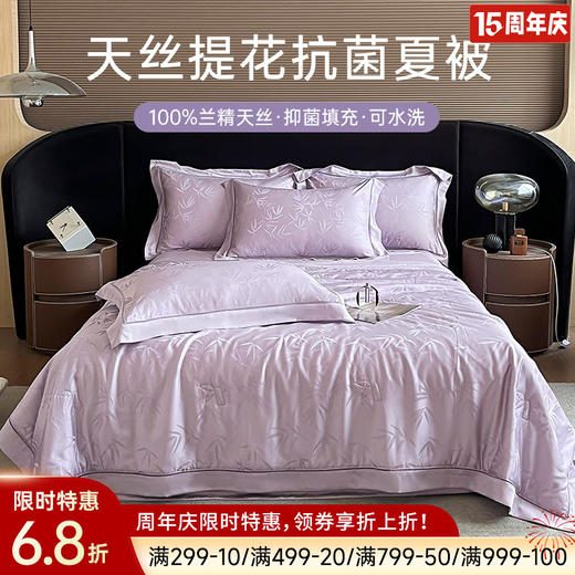 天丝提花抗菌夏被(紫色) 商品图0