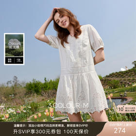 三彩2026夏季新款刺绣娃娃裙V领泡泡袖A字连衣裙短裙M
