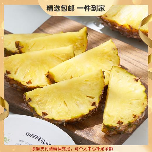 【困妈专属】金钻凤梨   4.5-5斤 商品图0