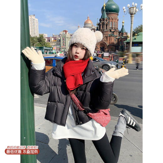 <曾小咸推荐> 现货秒杀！微信超特价！90%白鸭绒立领羽绒服外套 日常629.99 立减260 秒杀369.99！小狗印花长袖t恤  秒杀69.99！ 商品图0