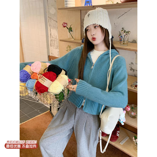 <曾小咸推荐>现货秒杀 ！微信超特价！韩系连帽短款毛衣 日常169.99 立减80 秒杀89.99！！ 商品图0