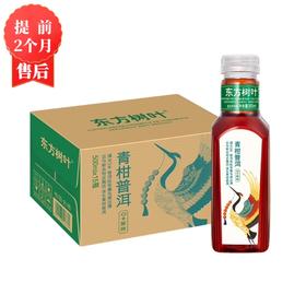 【2月】东方树叶(青柑普洱)500mlx15