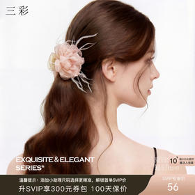 三彩2026新款网纱立体花带爪发夹仙气羽毛温柔简约灵动通勤氛围感