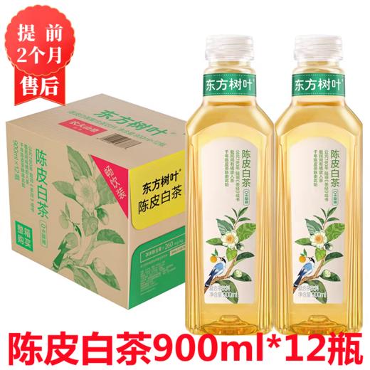 【2月】大瓶东方树叶(陈皮)900x12 商品图0