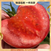 【山东好物】普罗旺斯西红柿 3斤/ 4.5斤 商品缩略图0