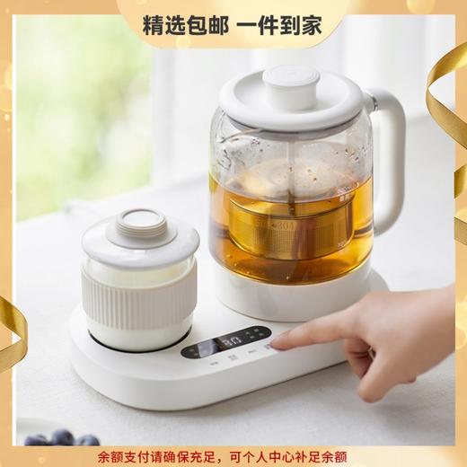 olayks欧莱克养生壶小型办公室恒温家用多功能玻璃烧水壶煮茶壶 心选到家 商品图0