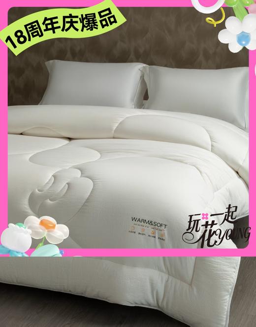 【堂皇】堂皇绵芙大豆春秋被-白色 商品图0