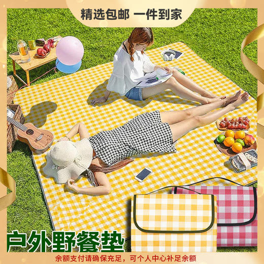 户外出游用品【野餐垫防潮垫加厚野餐布】便携防水 野炊郊游帐篷垫露营垫子 国庆出游劳动节出游 商品图0