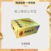 【豆豆LAB】树上熟红心木瓜  香甜多汁  4.5斤礼盒装 商品缩略图0