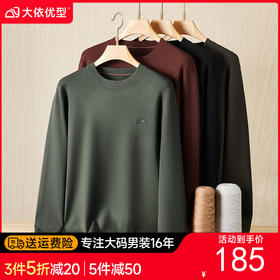 【DDS】大依优型大码男装圆领针织衫毛衫加肥加大休闲百搭男士上衣300斤