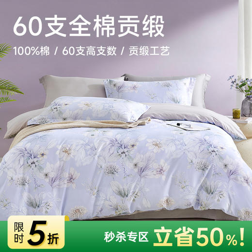 60支全棉贡缎四件套(兰溪) 商品图0